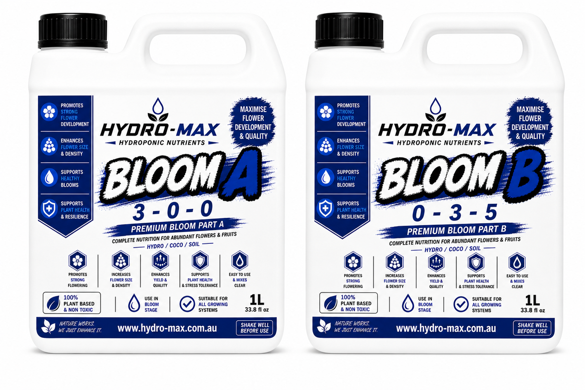 BLOOM A&B