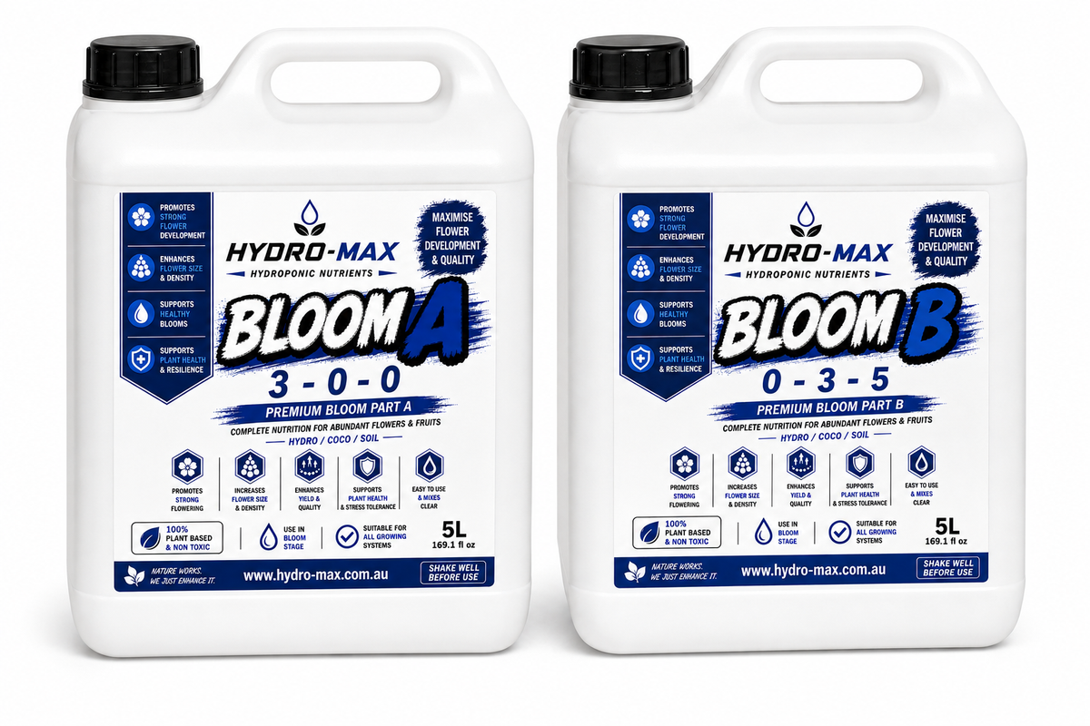 BLOOM A&B