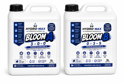 BLOOM A&B