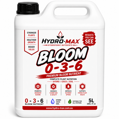 BLOOM 0-3-6